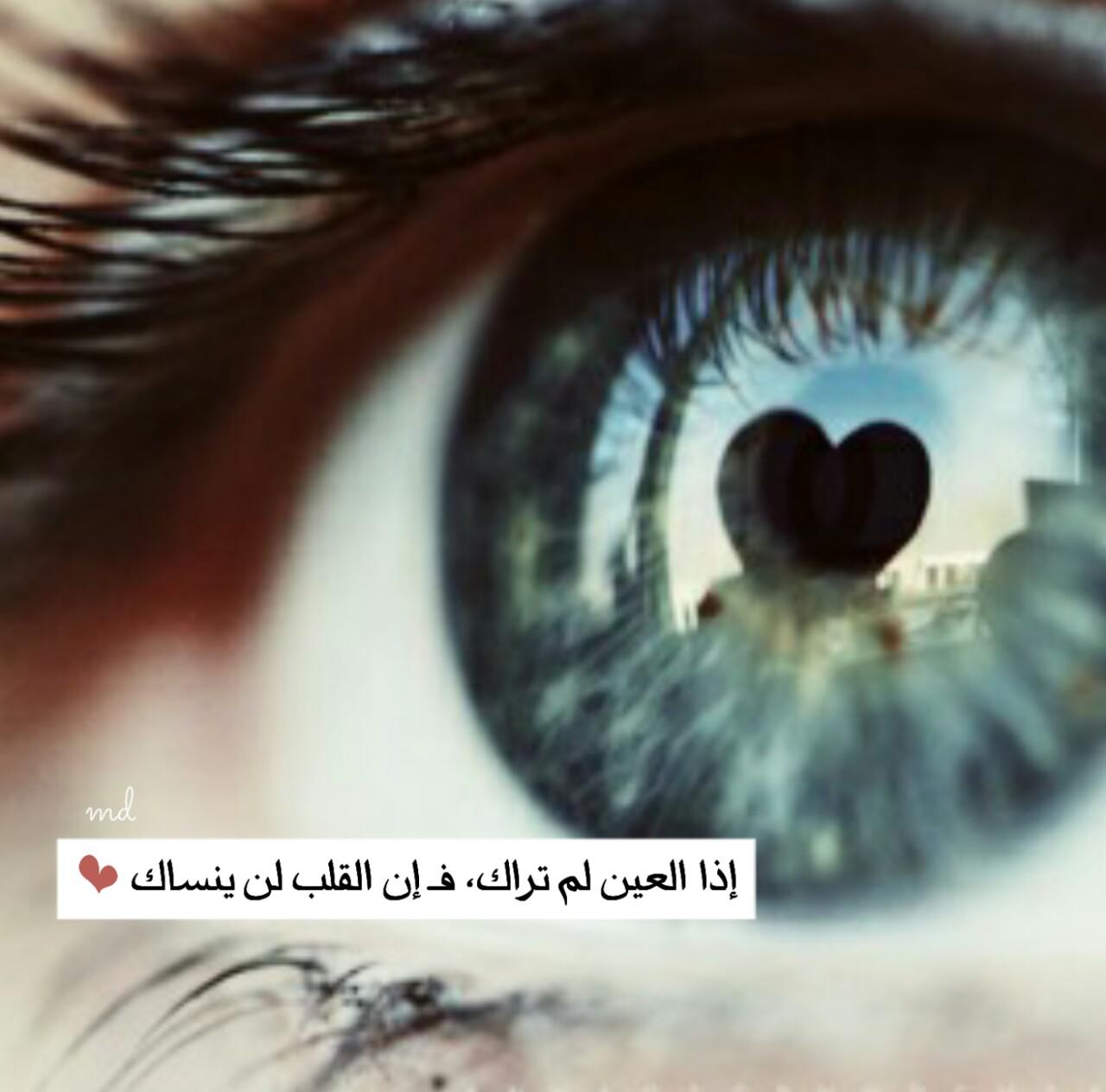 hamoood333