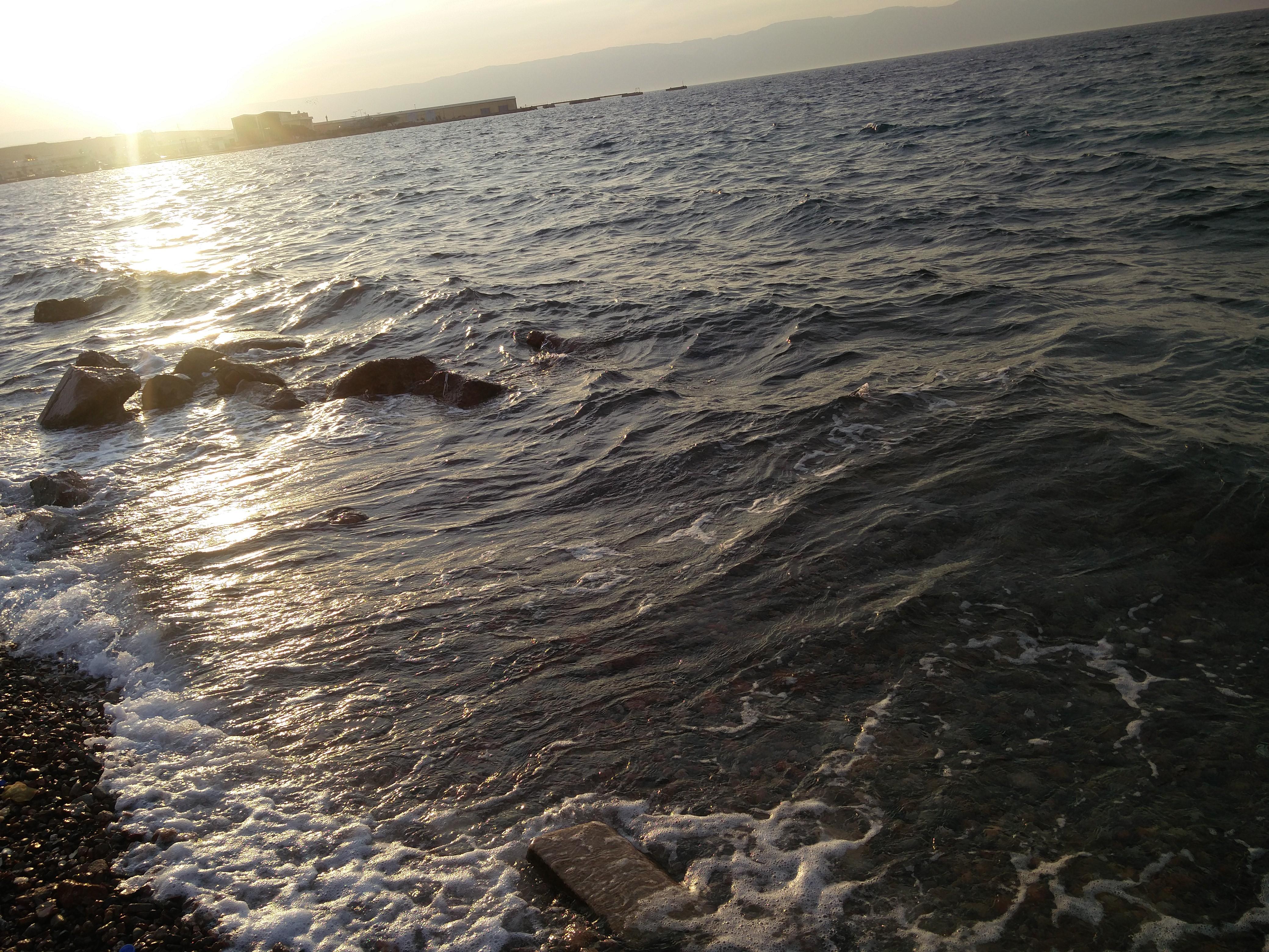 uploaded image