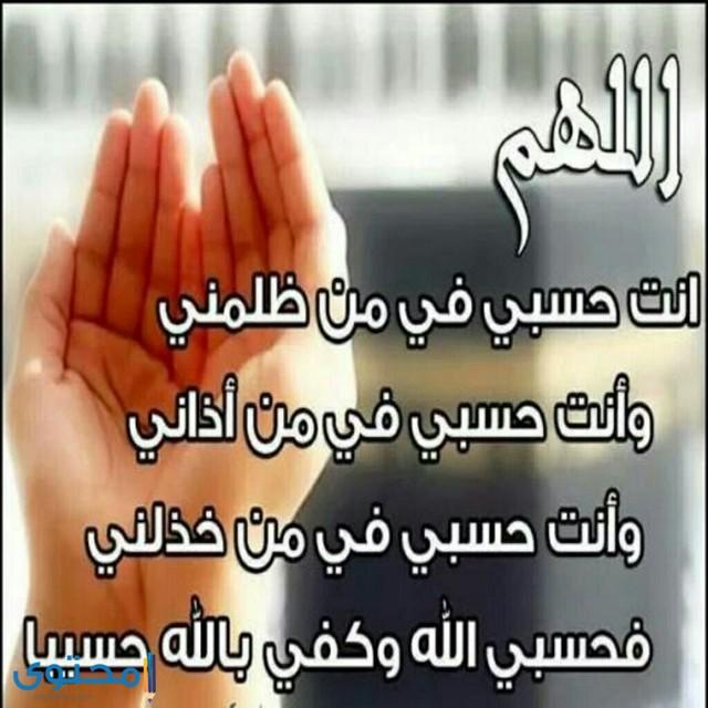 uploaded image