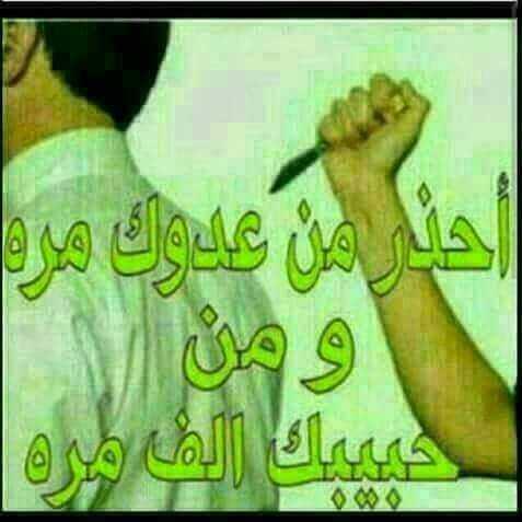 uploaded image