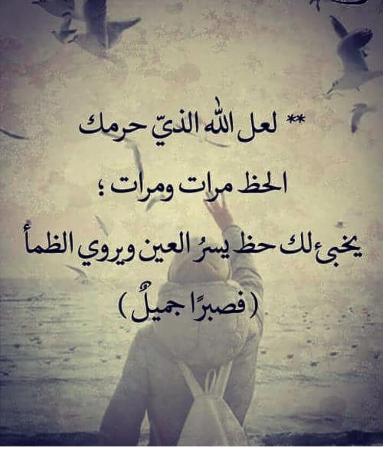 Asil