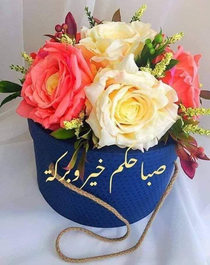 uploaded image