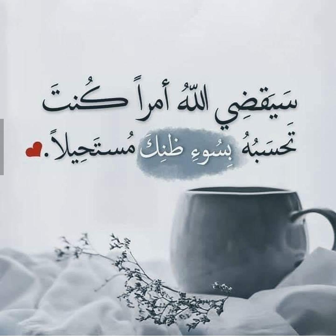 حنين محمد 