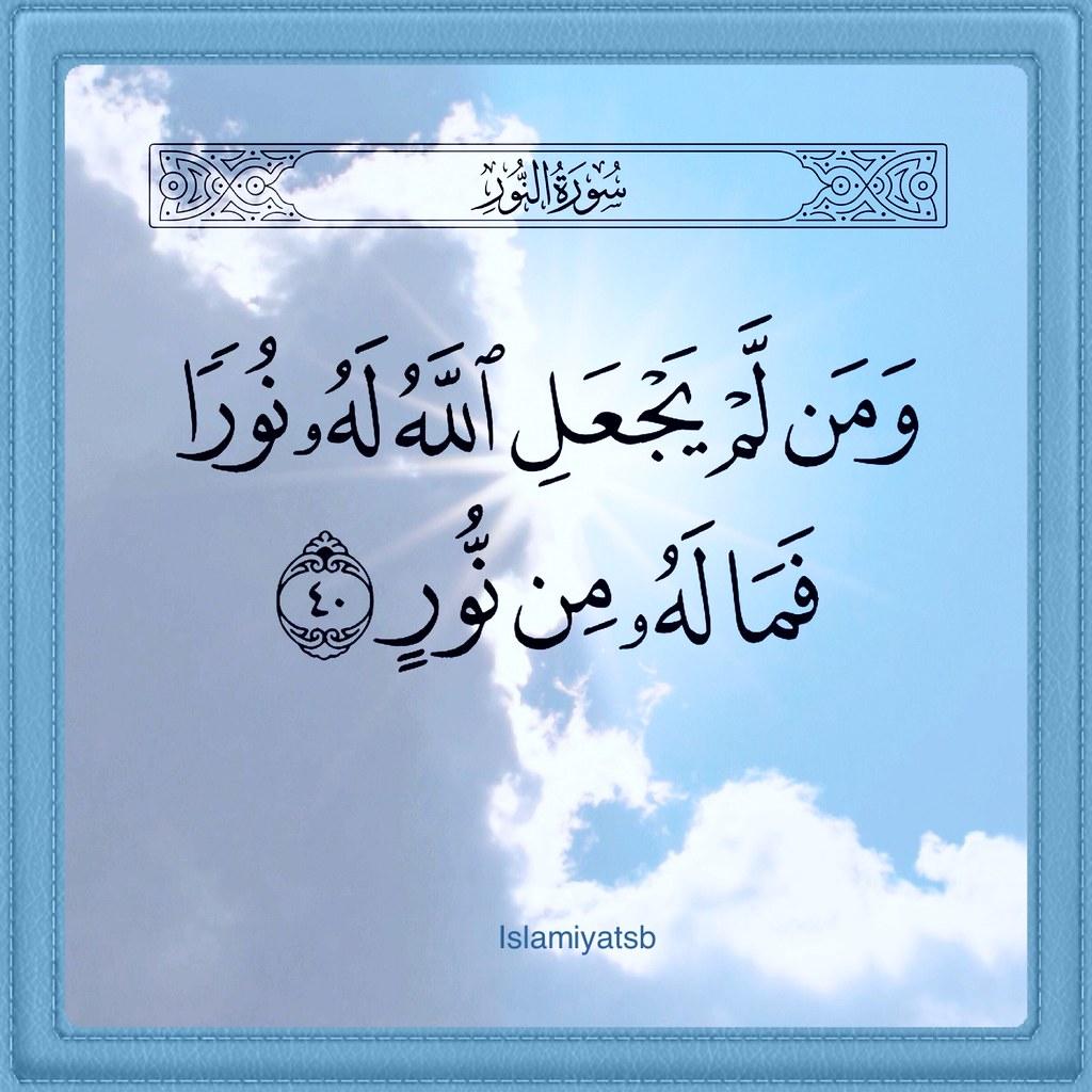 uploaded image