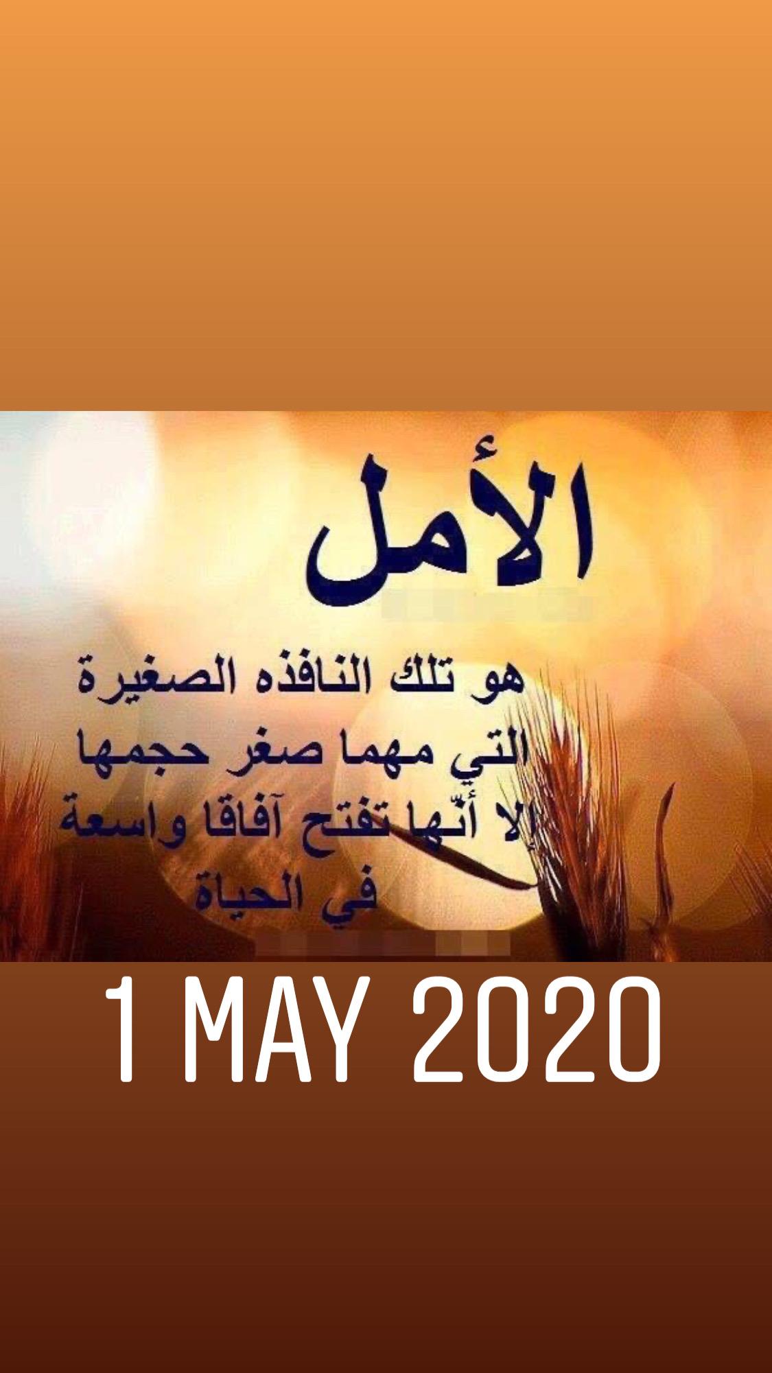 uploaded image