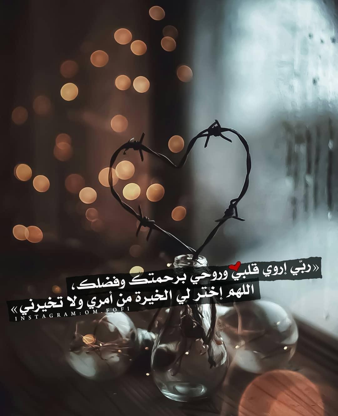 uploaded image