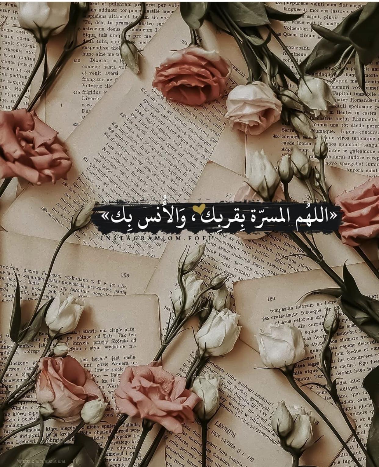 حيدر أميري 