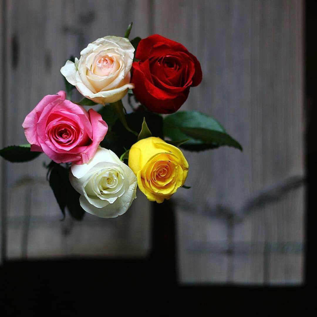 uploaded image