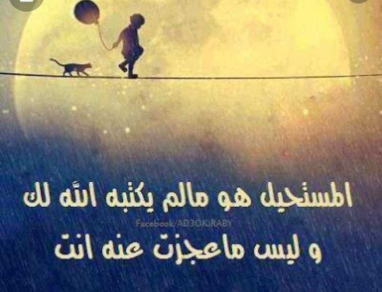uploaded image