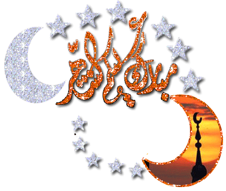 uploaded image