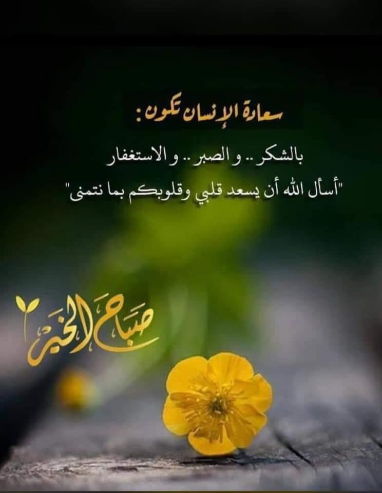 uploaded image