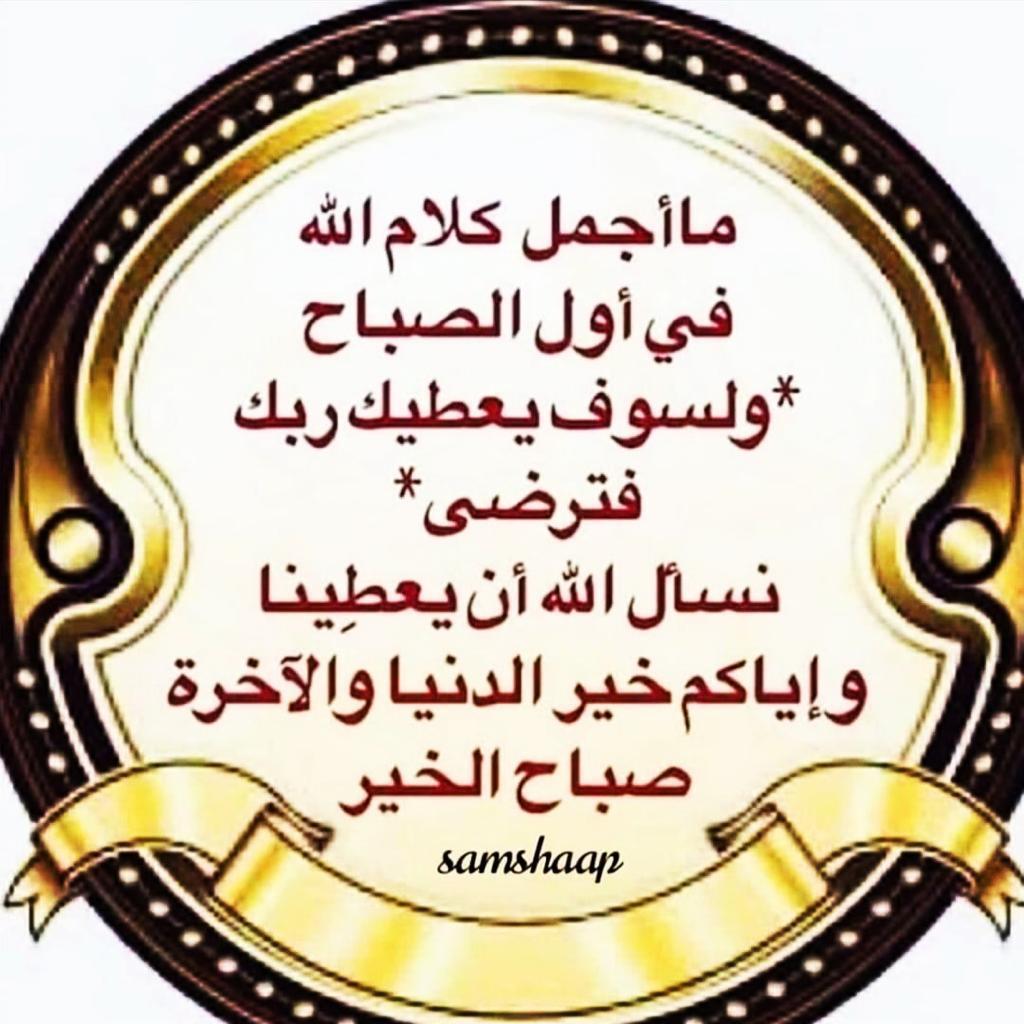 uploaded image