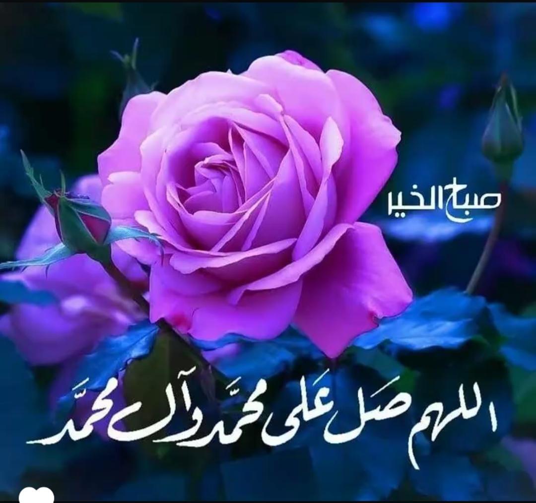 uploaded image