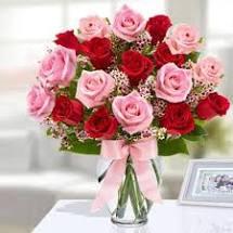uploaded image