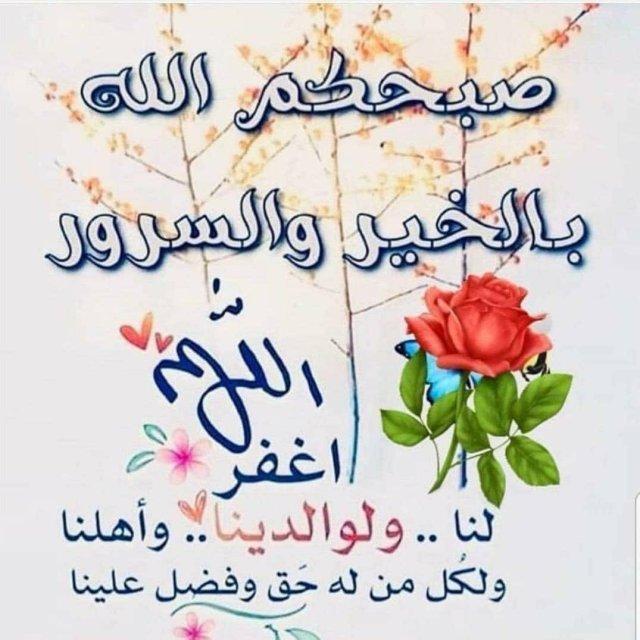 uploaded image