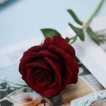 uploaded image