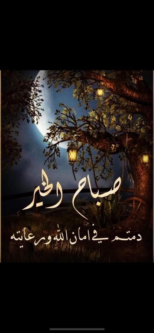 uploaded image