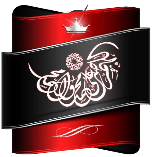 uploaded image
