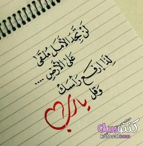 uploaded image