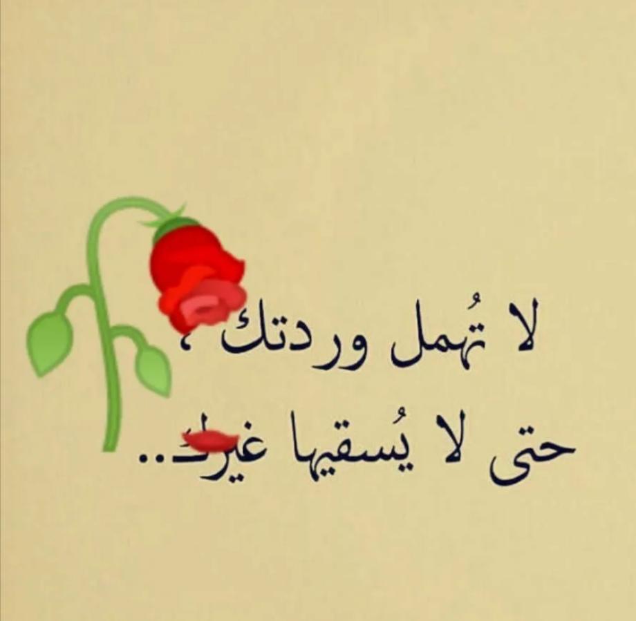 حلم الأبيض