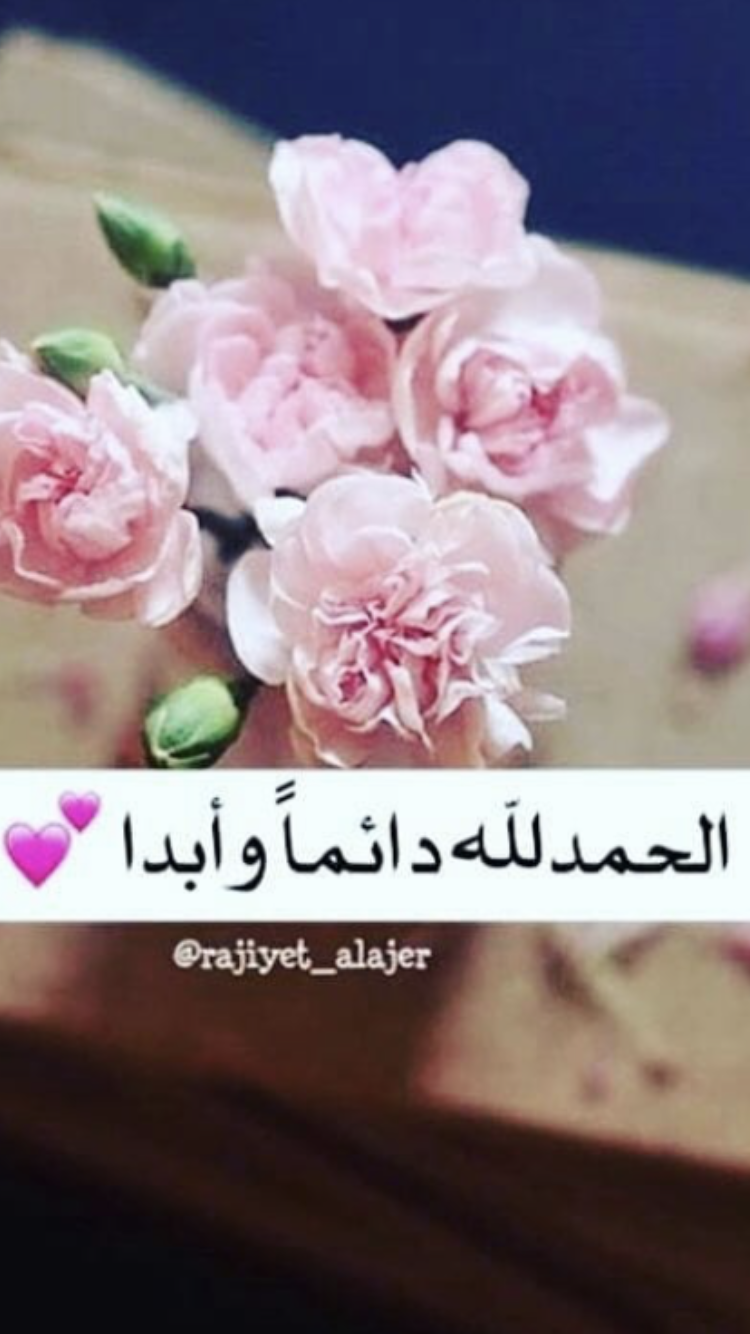 uploaded image