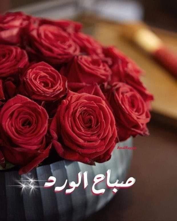 uploaded image