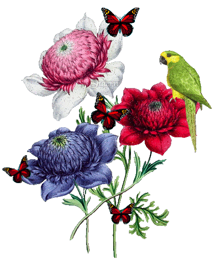 uploaded image