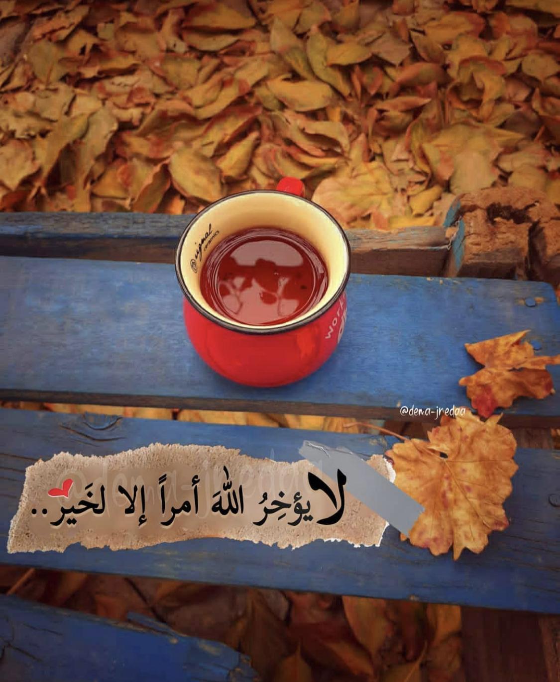 نوران حبيب 