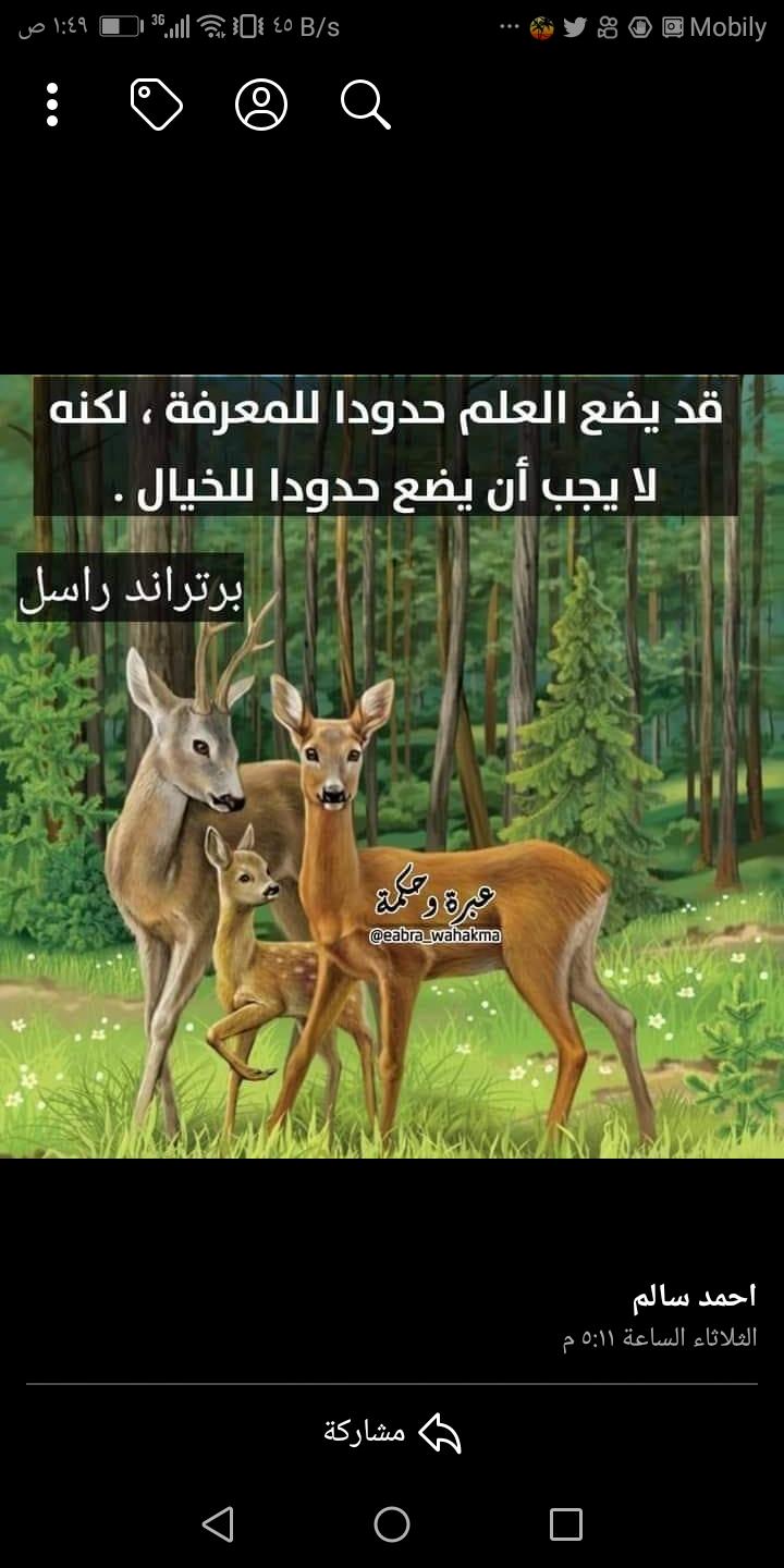 uploaded image