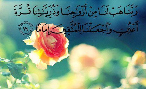 uploaded image