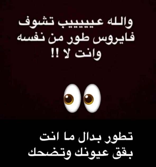 uploaded image