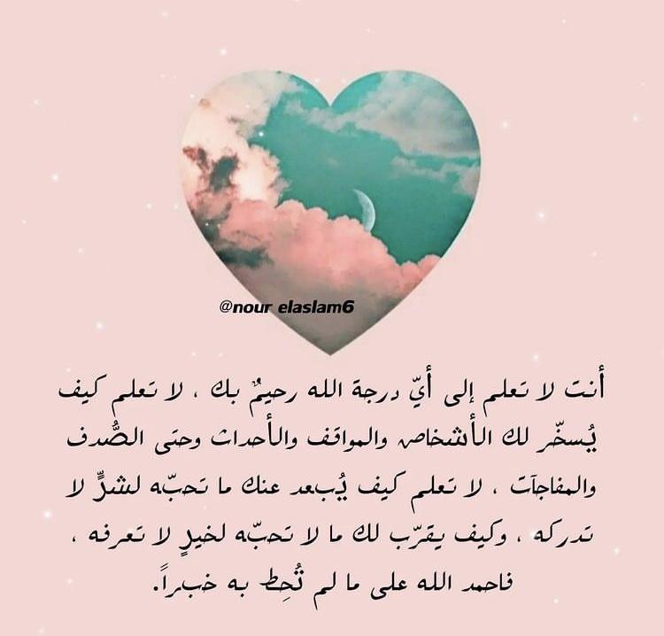 uploaded image