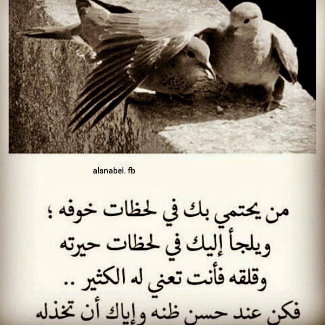 uploaded image