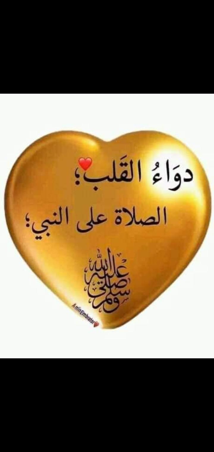 uploaded image