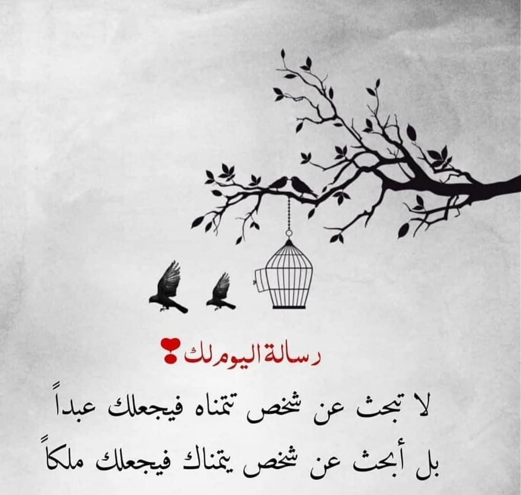 uploaded image