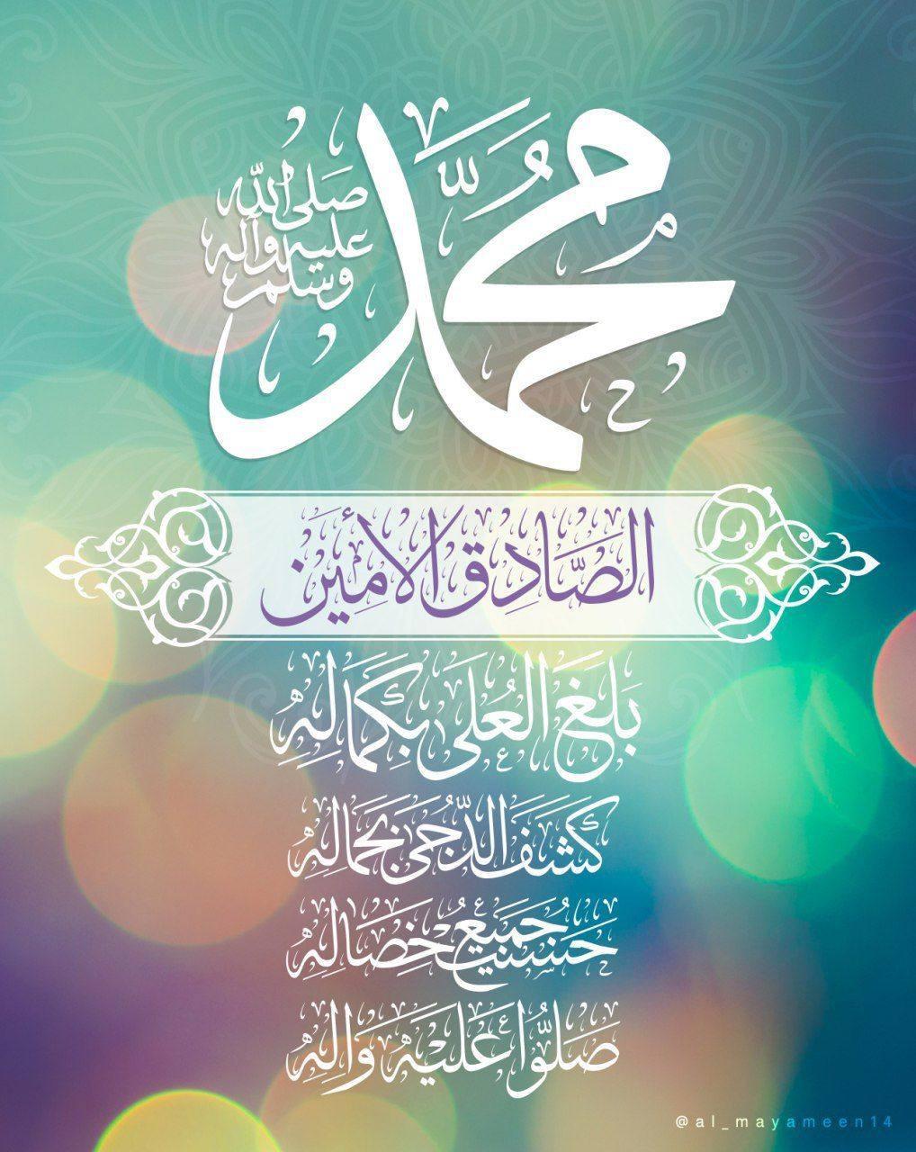 محب ال البيت