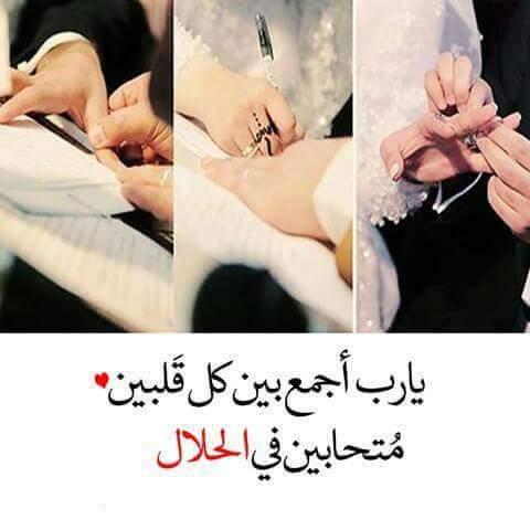 uploaded image