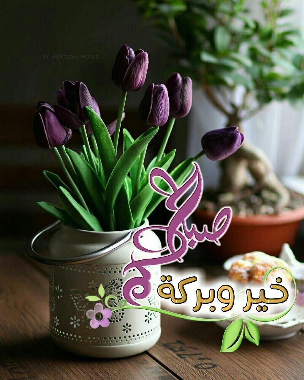uploaded image