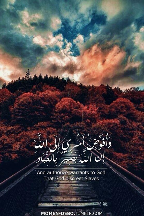 uploaded image
