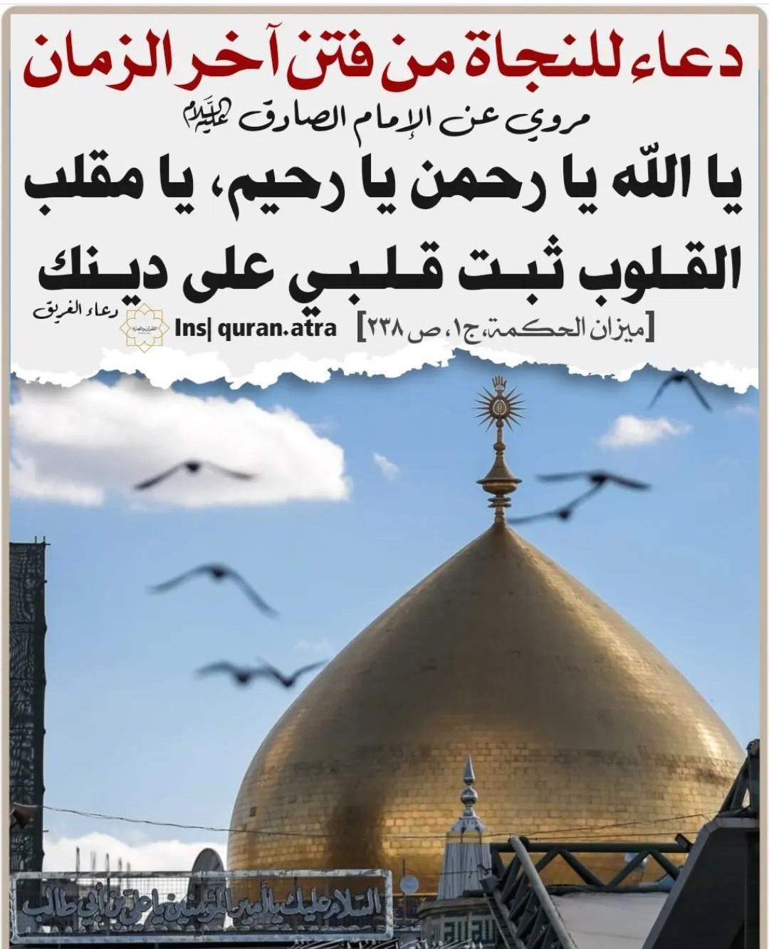 uploaded image