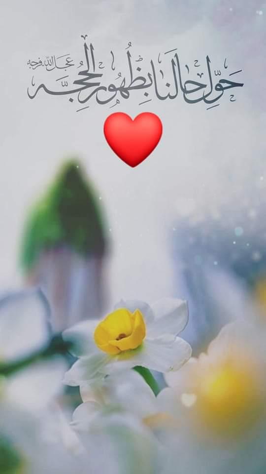 uploaded image