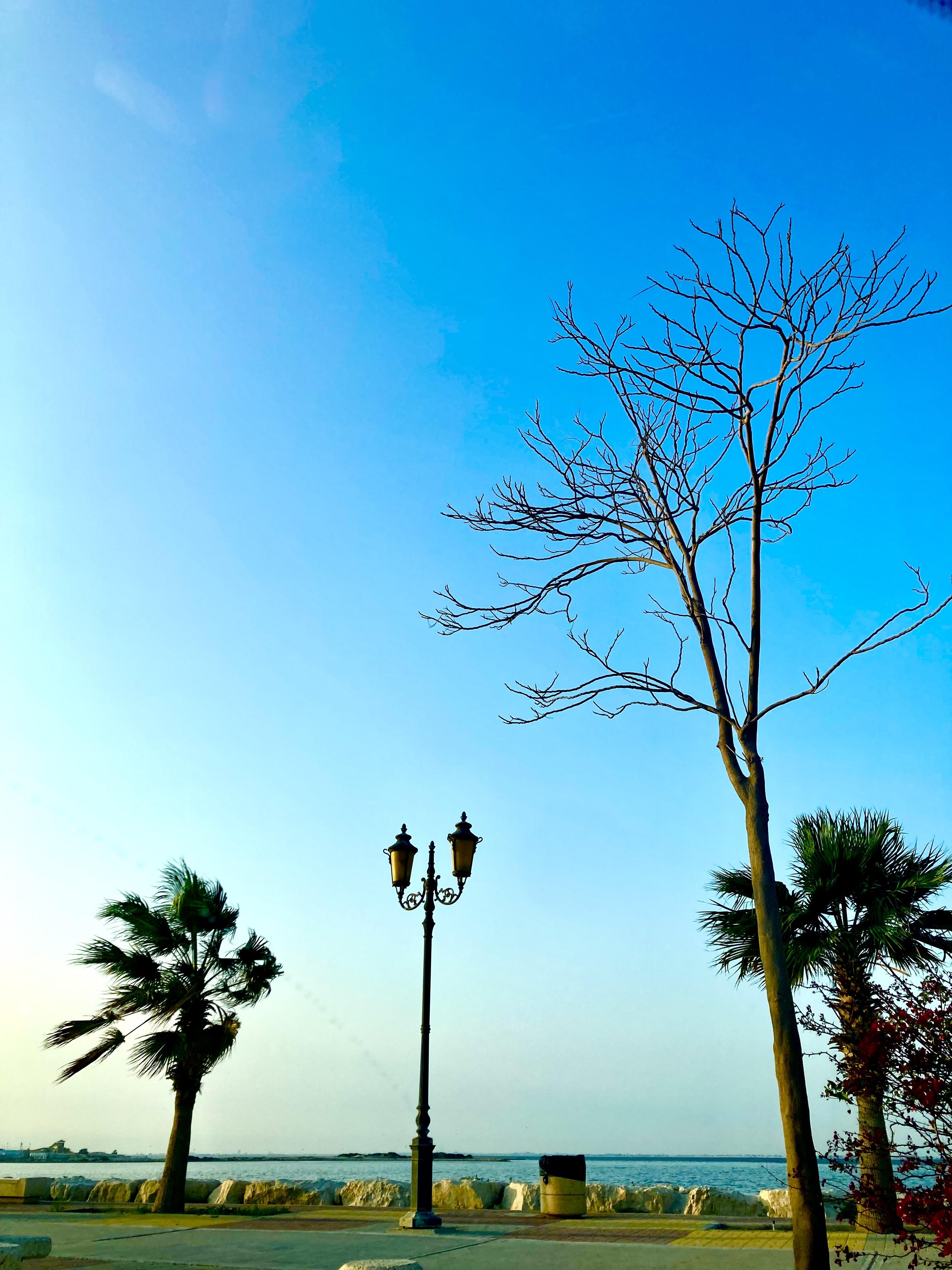uploaded image