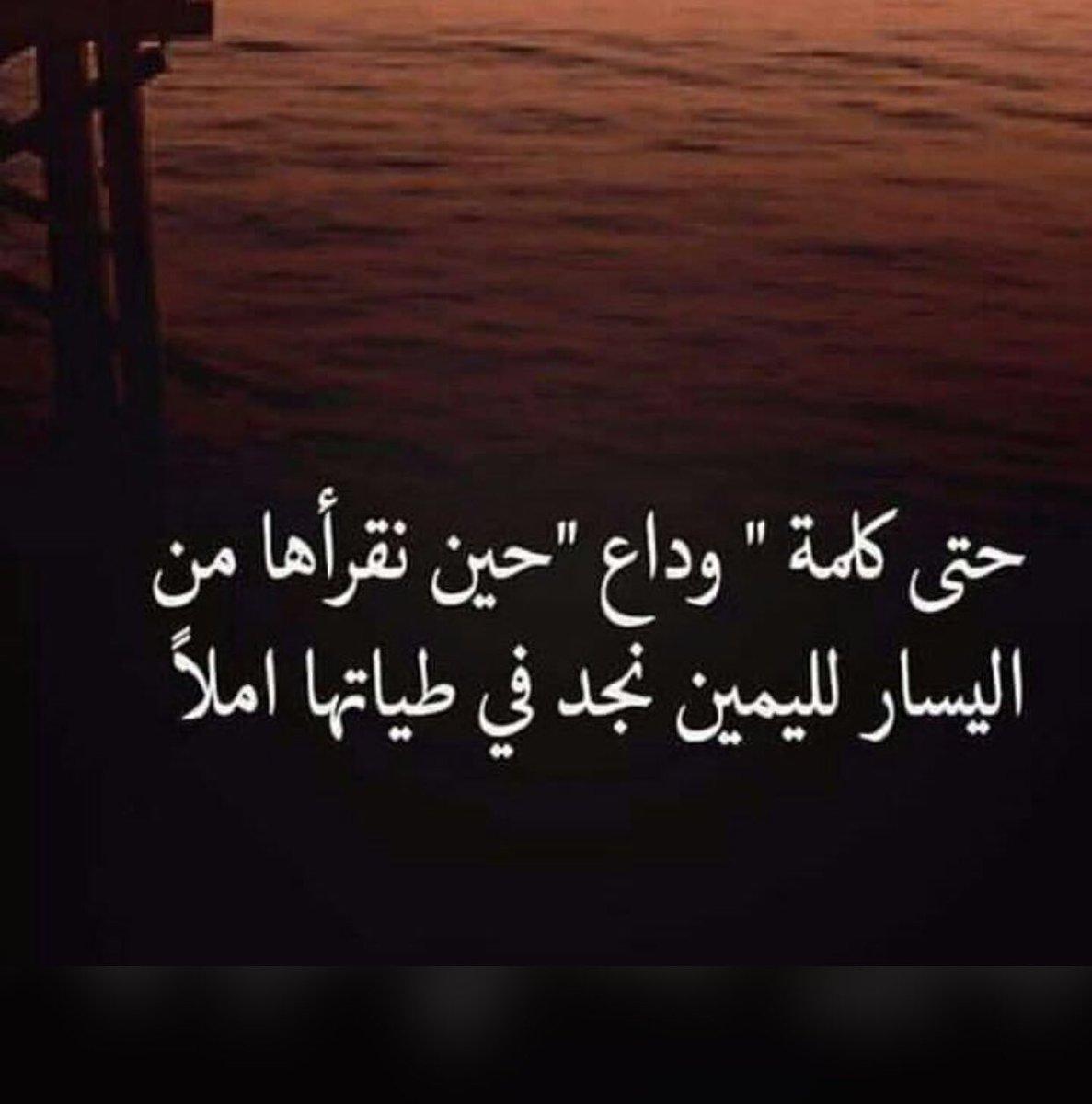 uploaded image
