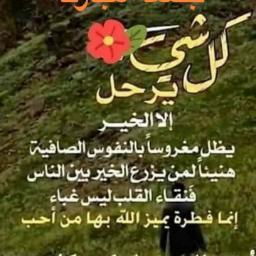 uploaded image