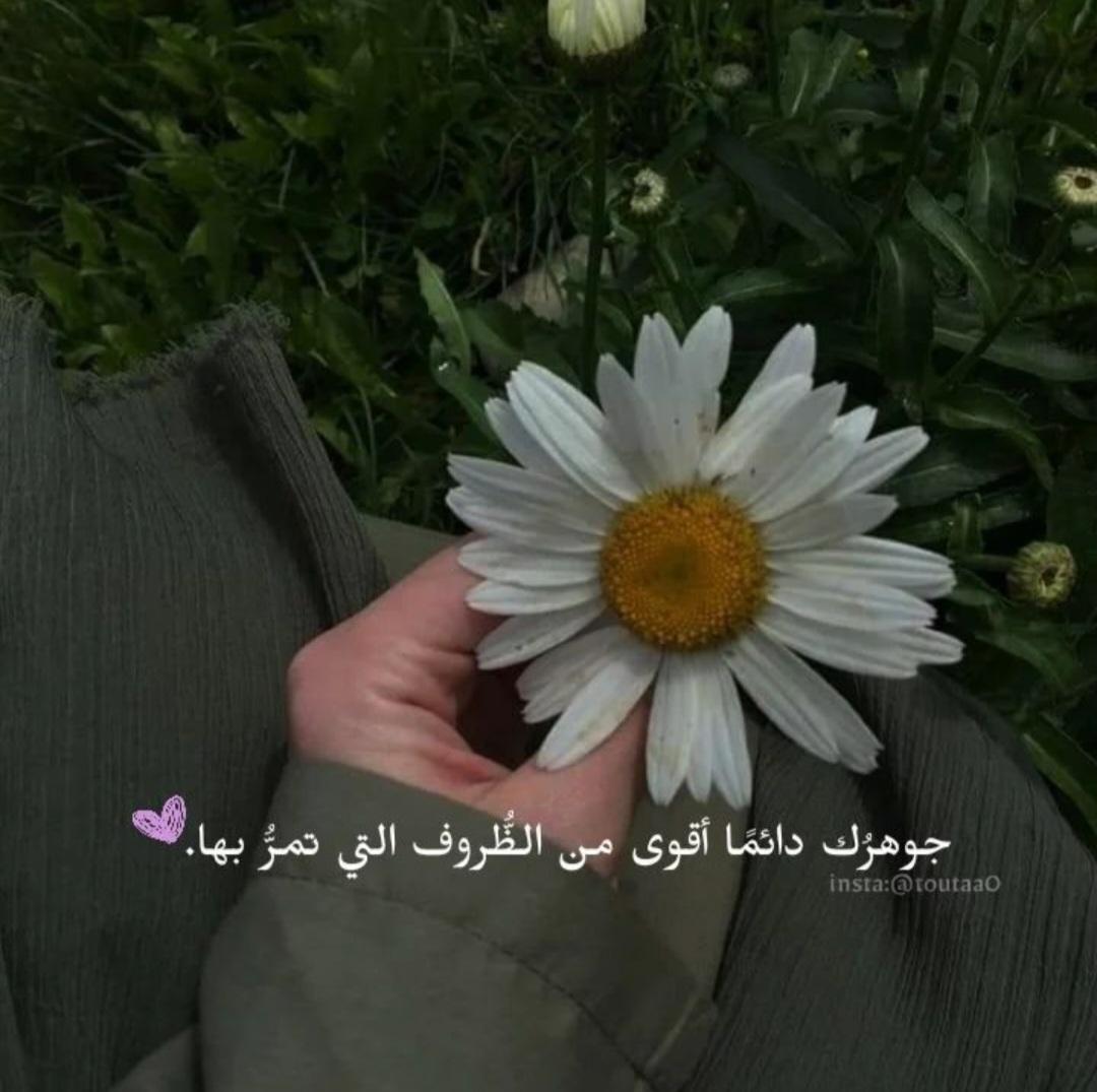 uploaded image