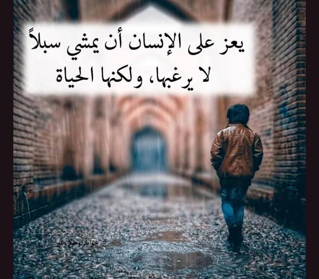uploaded image