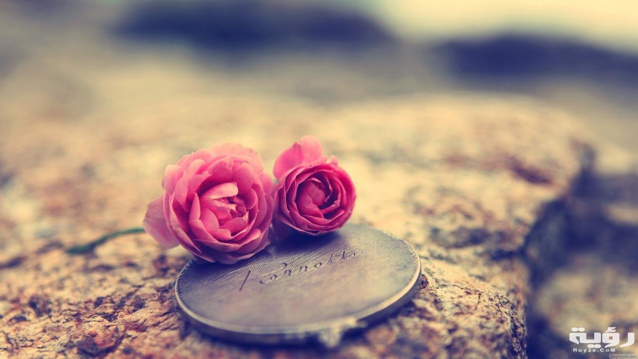 uploaded image