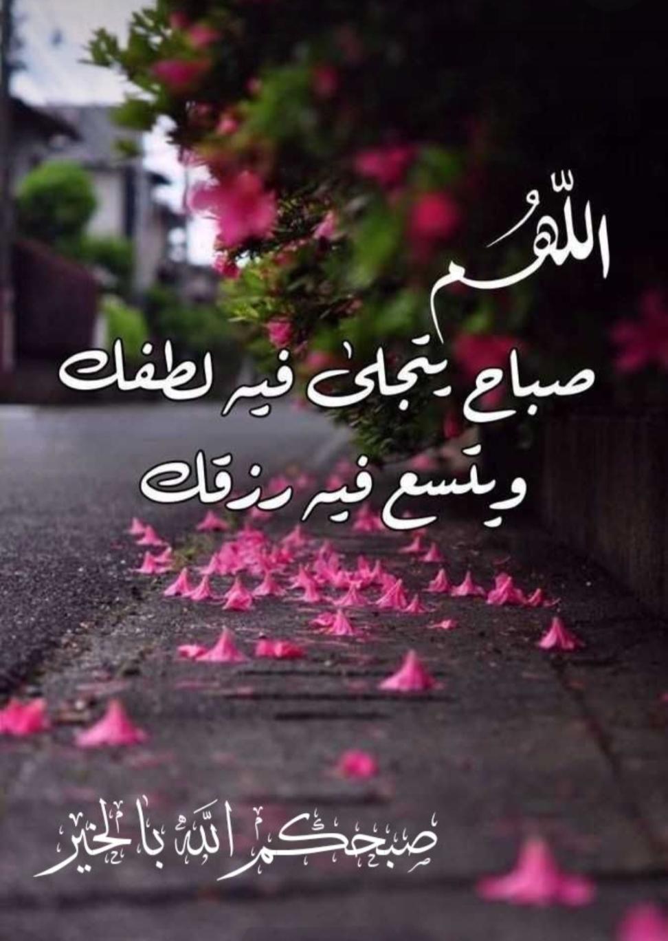 uploaded image