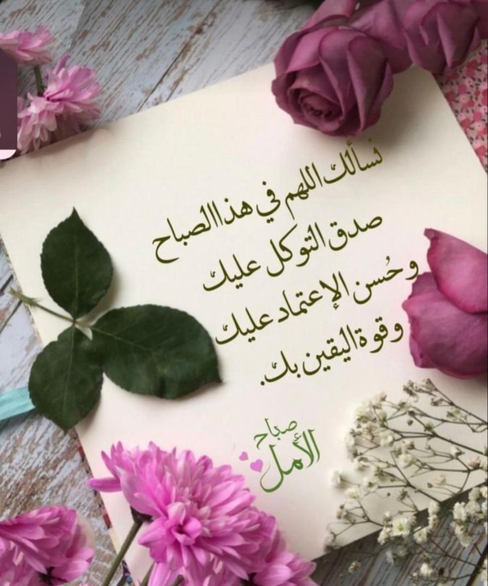 uploaded image