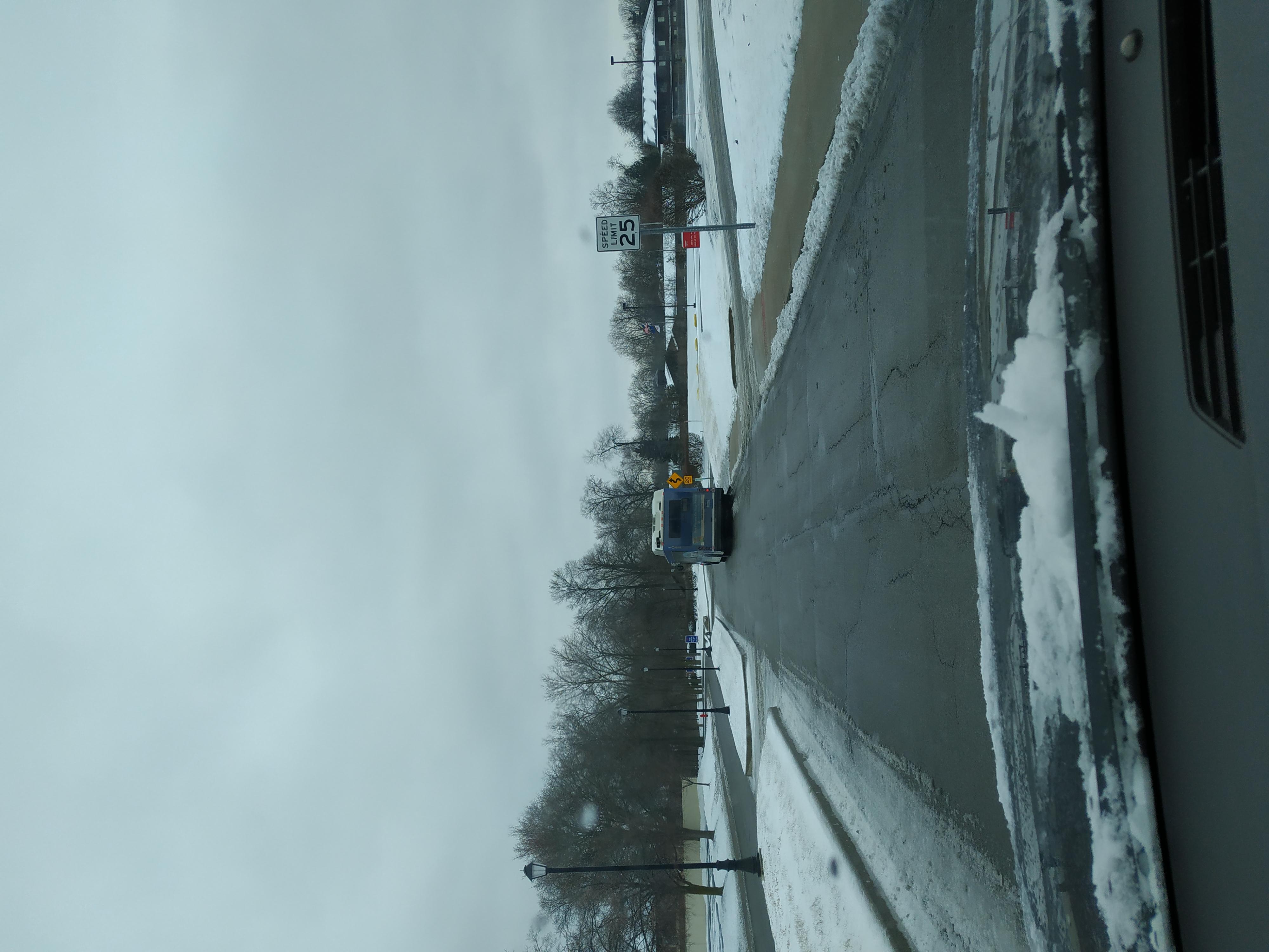 uploaded image